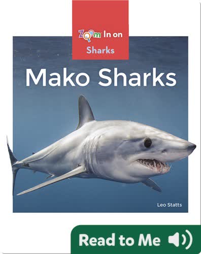 Mako Sharks