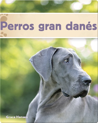 Perros gran danés