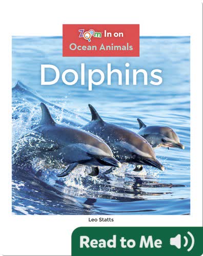 Dolphins