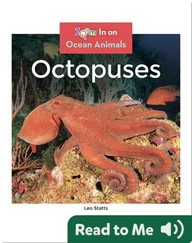 Octopuses
