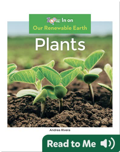 Plants