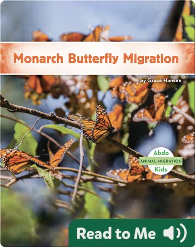 Monarch Butterfly Migration