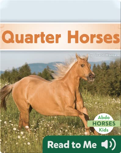 Quarter Horses