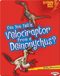 Can You Tell a Velociraptor from a Deinonychus?
