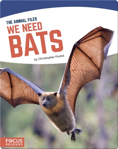 We Need Bats