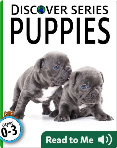 Puppies