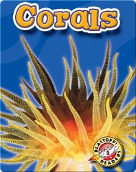 Corals: Oceans Alive