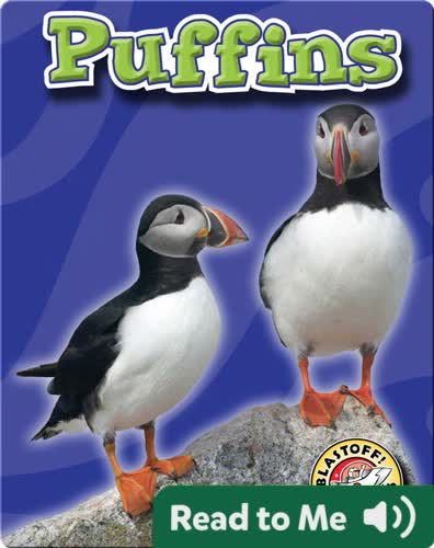 Puffins: Oceans Alive