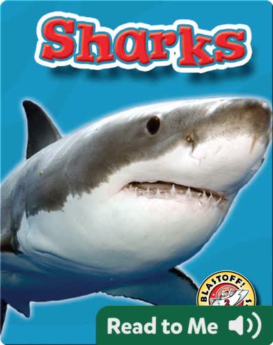 Sharks: Oceans Alive