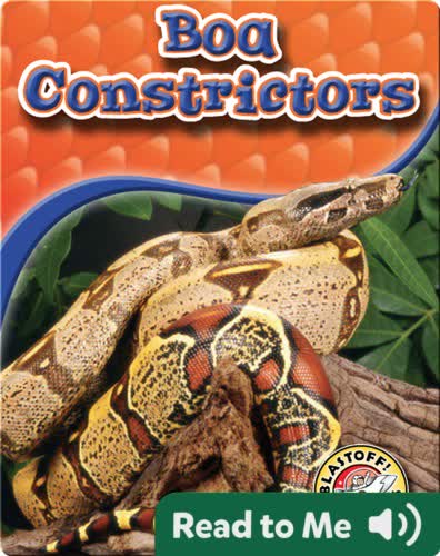 Boa Constrictors: Snakes Alive