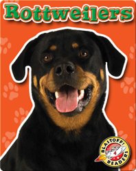 Rottweilers: Dog Breeds