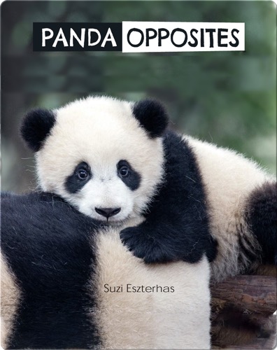Panda Opposites