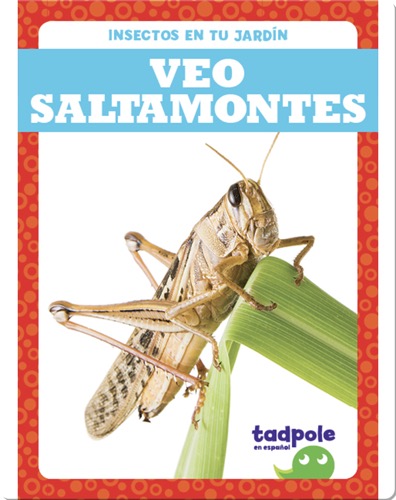 Insectos en tu jardín: Veo saltamontes