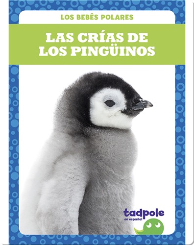 Las crías de los pingüinos