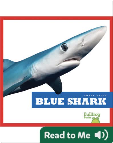Shark Bites: Blue Shark