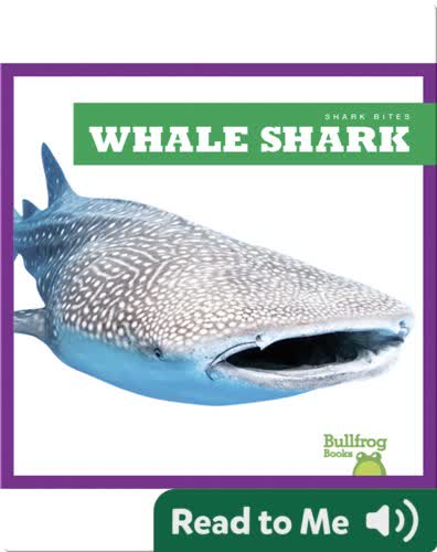 Shark Bites: Whale Shark