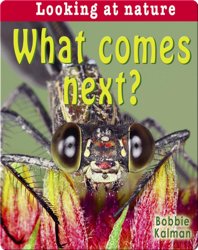 What Comes Next?