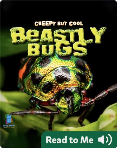 Creepy But Cool: Beastly Bugs