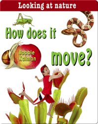 How Does it Move?