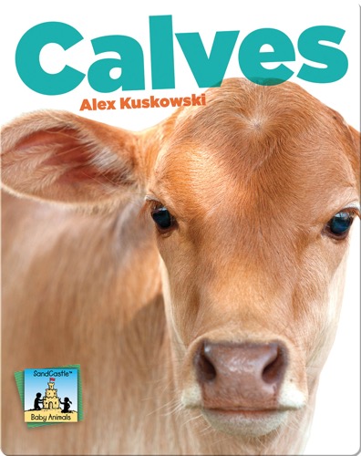 Calves