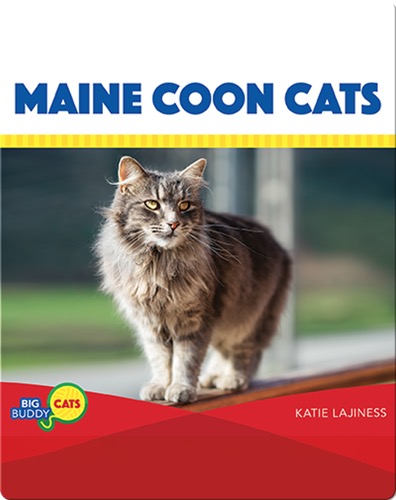Main Coon Cats