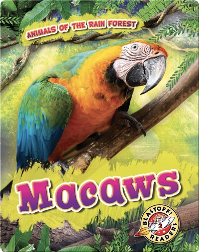 Animals of the Rain Forest: Macaws
