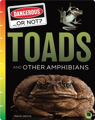 Dangerous...or Not?: Toads and Other Amphibians
