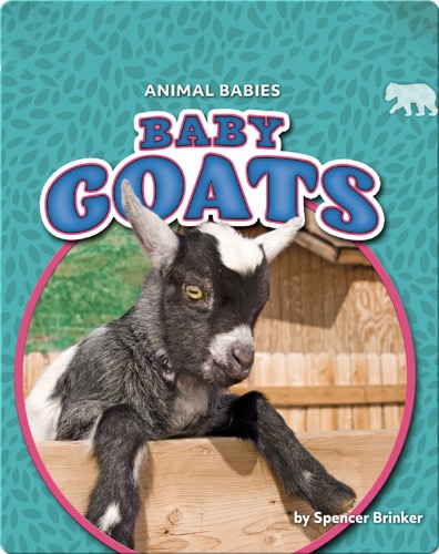 Animal Babies: Baby Goats