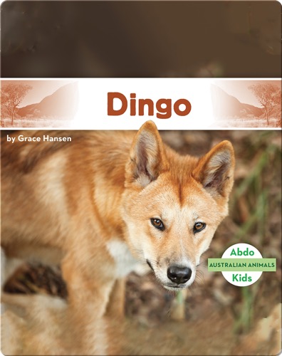 Australian Animals: Dingo