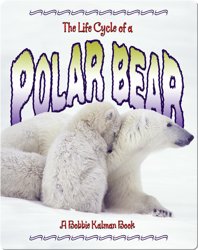 The Life Cycle of a Polar Bear