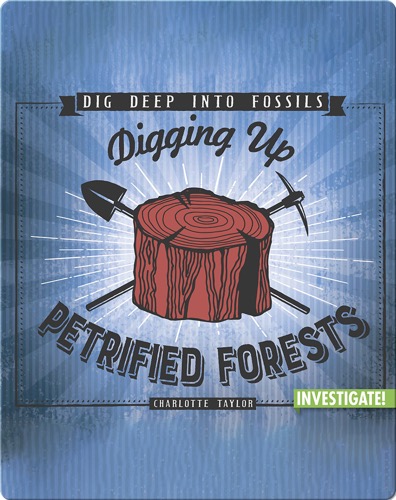 Digging Up Petrified Forests