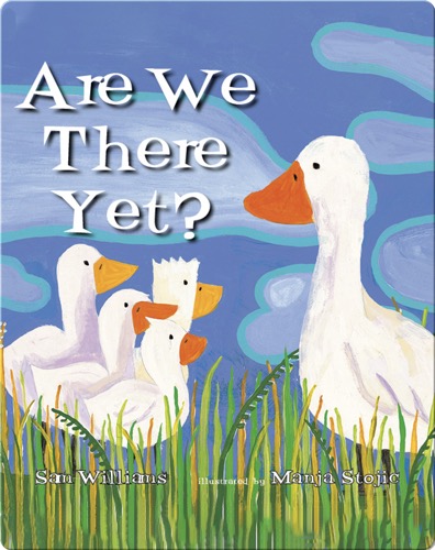 Are We There Yet?