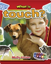 What is Touch?