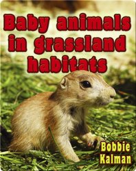 Baby Animals in Grassland Habitats