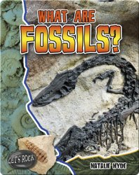 What Are Fossils? (Let's Rock!)