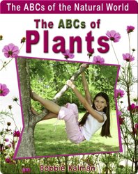 The ABCs of Plants
