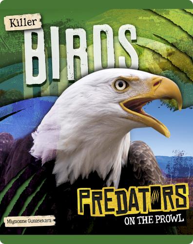 Predators on the Prowl: Killer Birds