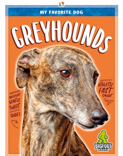 My Favorite Dog: Greyhounds
