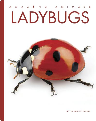 Ladybugs
