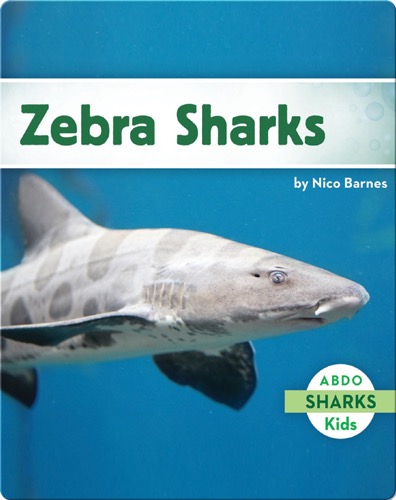 Zebra Sharks