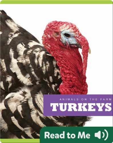 Turkeys