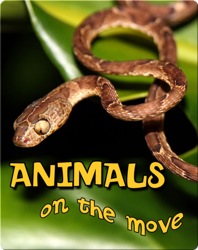 Animals On The Move