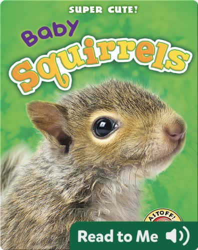 Super Cute! Baby Squirrels