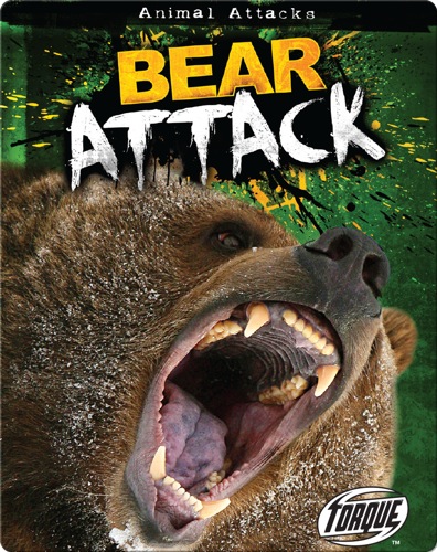 Bear Attack