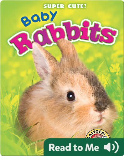 Super Cute! Baby Rabbits