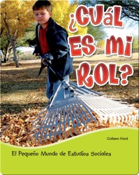 ¿Cuál es mi rol?