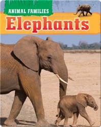 Elephants