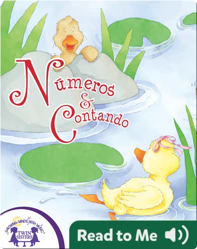Numeros & Contando
