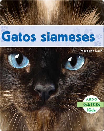Gatos Siameses