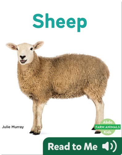 Sheep
